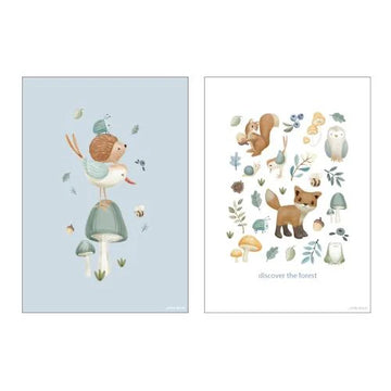 Little Dutch, poster forest wonders